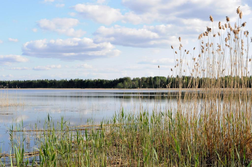 Mokko Lakehouse Kuremaa Kültér fotó
